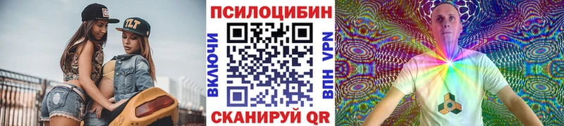 Галлюциногенные грибы Magic Shrooms  купить   Новороссийск 