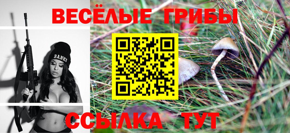 Псилоцибиновые грибы MAGIC MUSHROOMS Новороссийск
