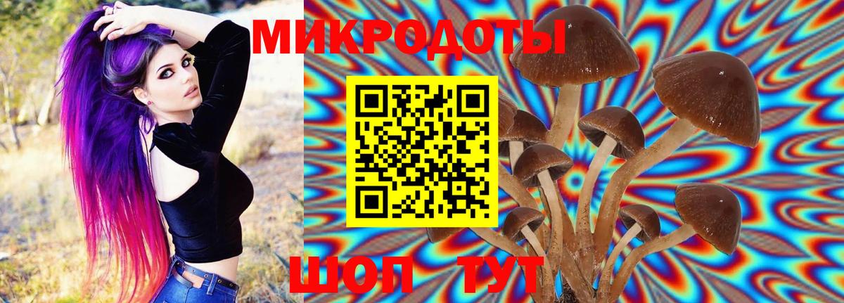 Псилоцибиновые грибы мухоморы  Вход с VPN  Новороссийск 